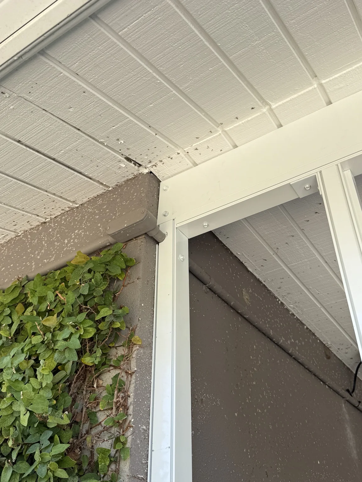 Clean structural tie-in to the existing covered patio.