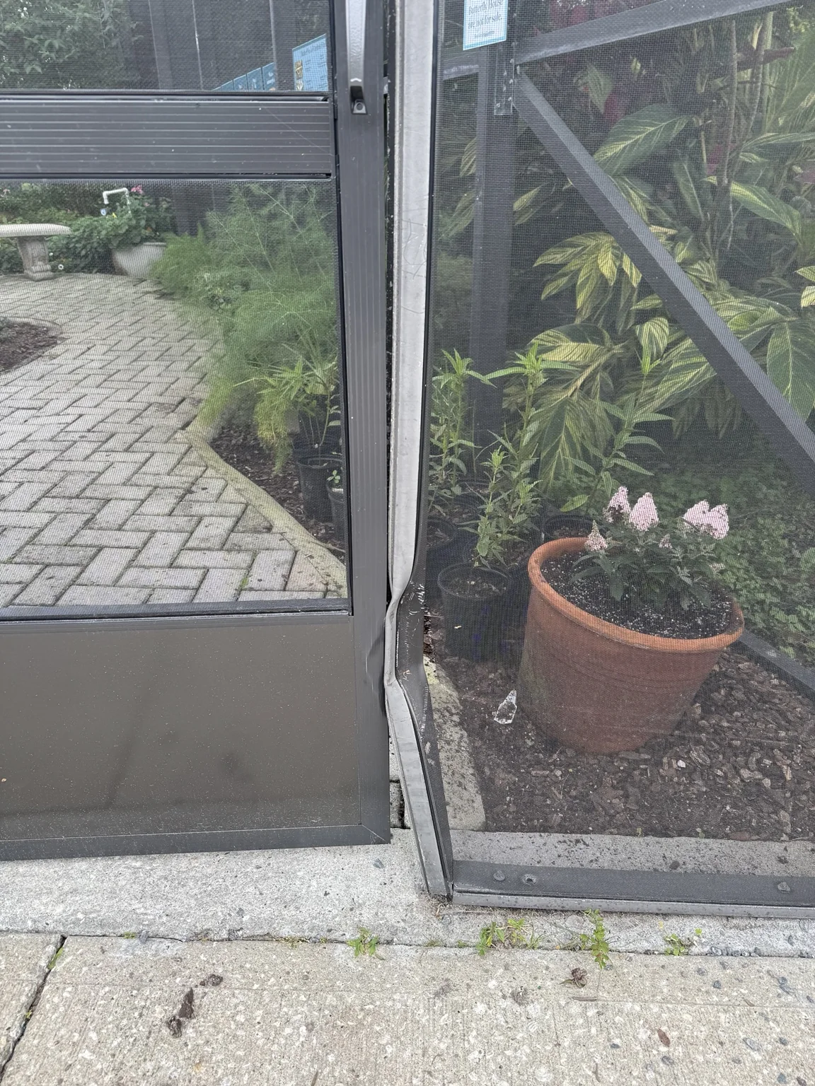 Damaged enclosure framing and screen at the butterfly sanctuary before repairs.