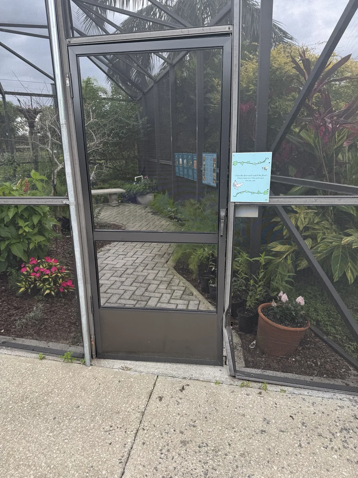 Existing butterfly sanctuary enclosure prior to structural and screen repairs.
